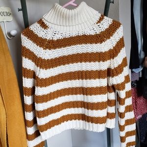 Chunky Knit Turtleneck